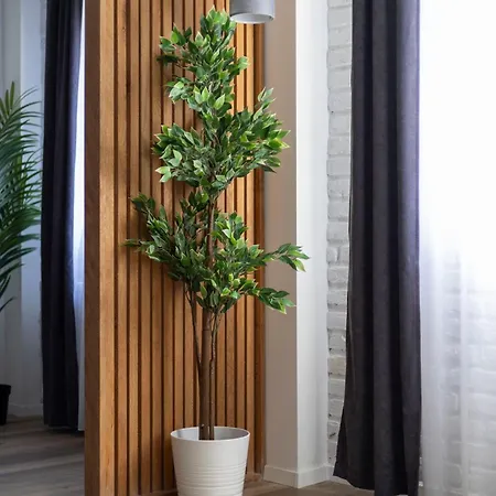 Exclusive & Duplex By Prestige Homes *